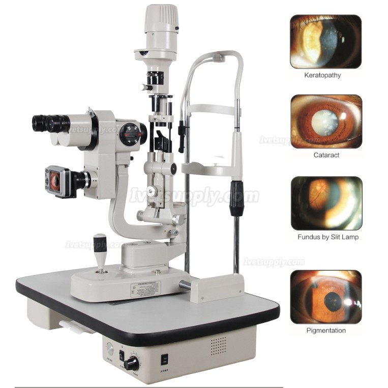 Veterinary Digital Slit Lamp Anterior Segment Analysis System